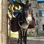 Chateau De Durianne