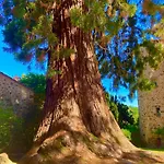 Chateau De Durianne 3* Le Monteil (Haute-Loire)