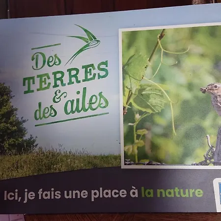 Bed & Breakfast Chateau De Durianne Le Monteil (Haute-Loire)