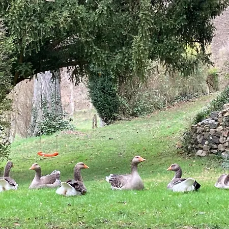 Bed & Breakfast Chateau De Durianne