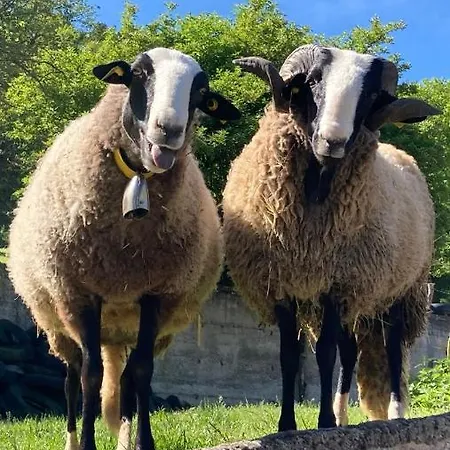 Chateau De Durianne Bed & Breakfast 3*