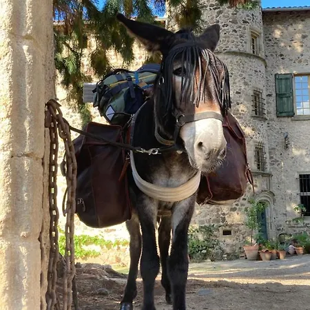 Chateau De Durianne