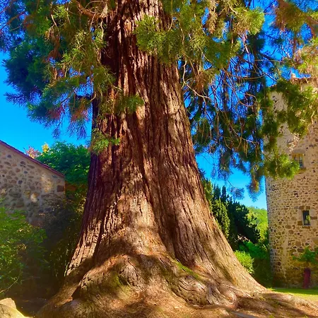 Chateau De Durianne 3* Le Monteil