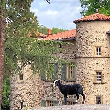 Chateau De Durianne Bed & Breakfast