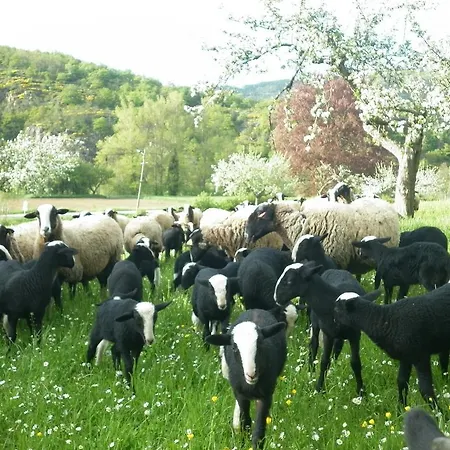 Chateau De Durianne Bed & Breakfast 3*