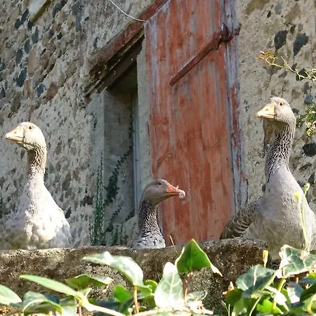Frühstückspension Chateau De Durianne
