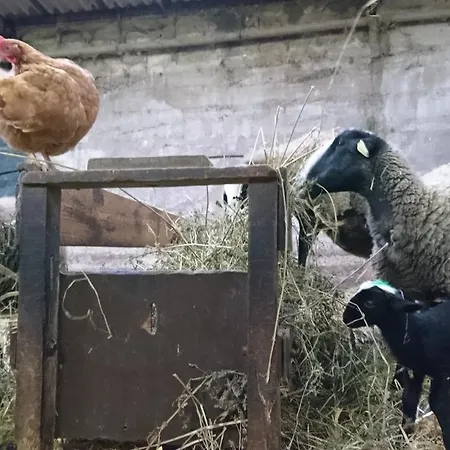 Chateau De Durianne Le Monteil (Haute-Loire)
