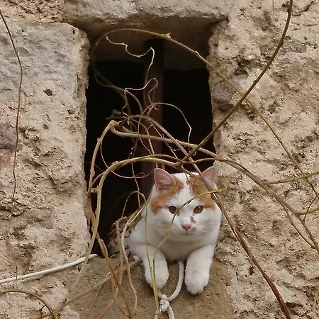 Chateau De Durianne 3* Le Monteil (Haute-Loire)