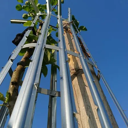 Bed & Breakfast Chateau De Durianne Le Monteil (Haute-Loire)