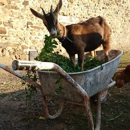 Chateau De Durianne 3* Le Monteil (Haute-Loire)