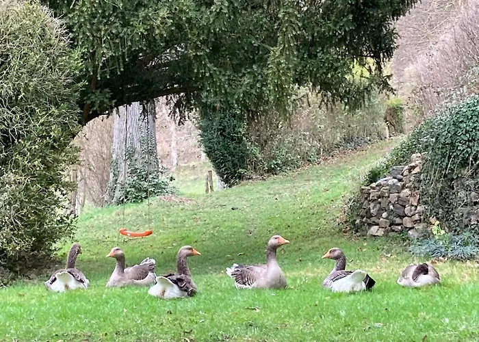 Bed & Breakfast Chateau De Durianne