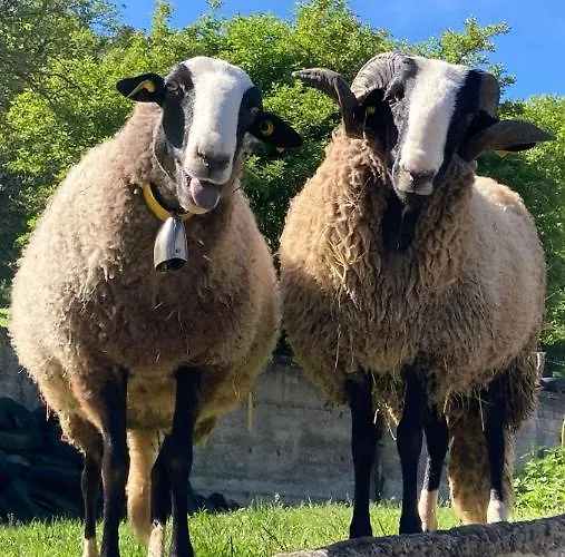 Chateau De Durianne Отель типа 