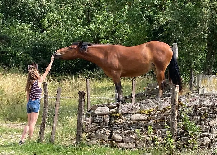 Chateau De Durianne Le Monteil (Haute-Loire)