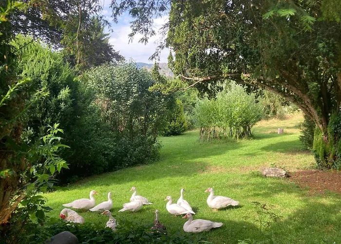 Chateau De Durianne 3* Le Monteil (Haute-Loire)
