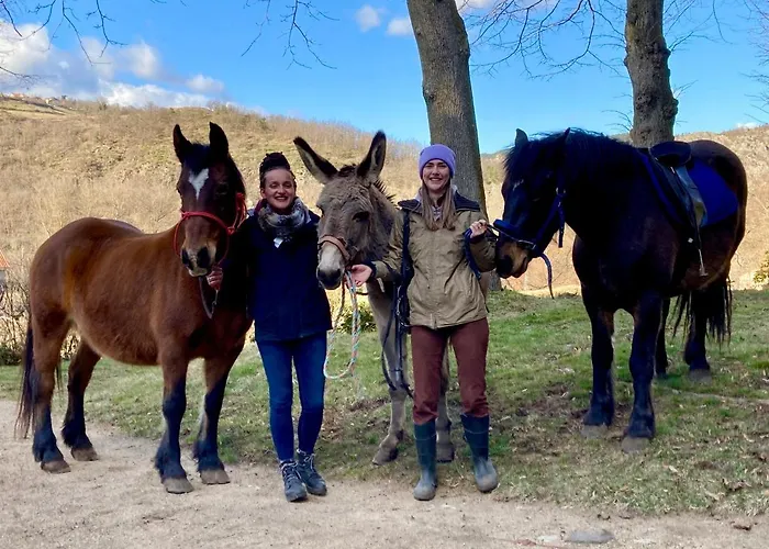 Chateau De Durianne 3* Le Monteil (Haute-Loire)