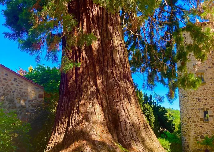 Chateau De Durianne 3* Le Monteil (Haute-Loire)