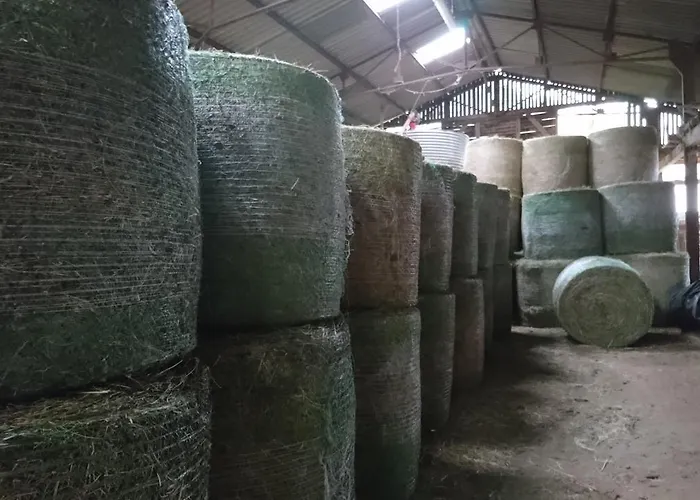 Chateau De Durianne Отель типа 