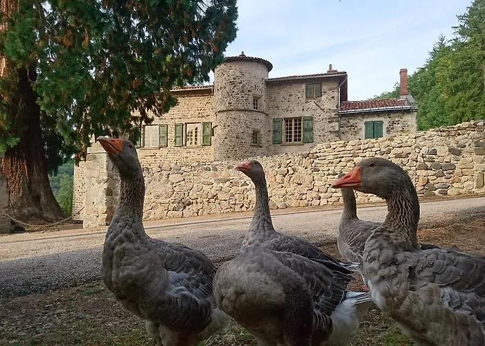 Chateau De Durianne Le Monteil (Haute-Loire)