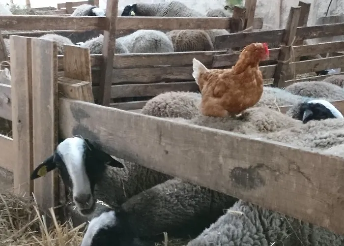 Chateau De Durianne Отель типа 