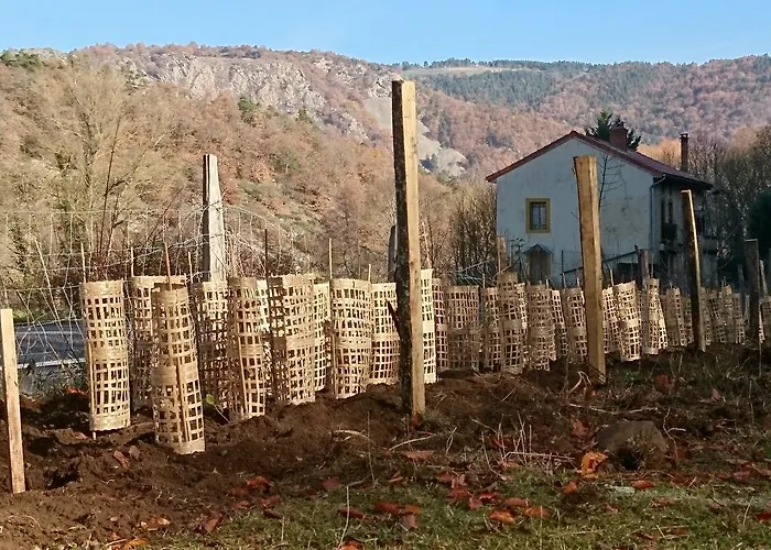 Chateau De Durianne 3*