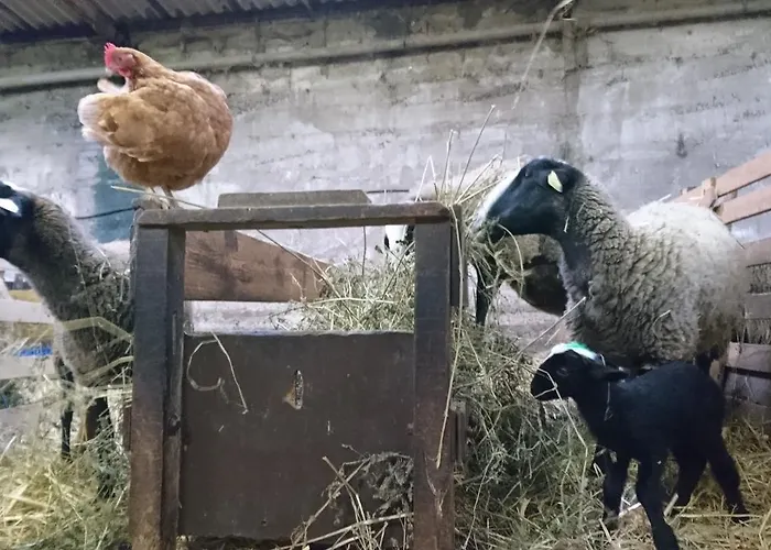 Chateau De Durianne Le Monteil (Haute-Loire)