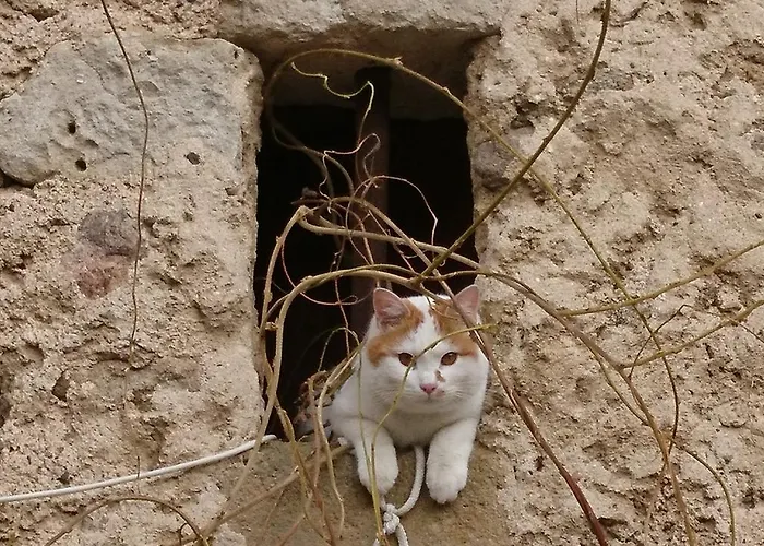 Chateau De Durianne 3* Le Monteil (Haute-Loire)