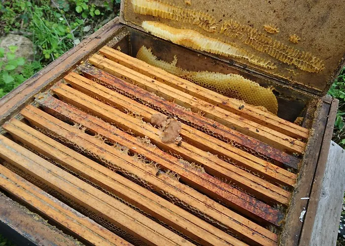 Bed & Breakfast Chateau De Durianne