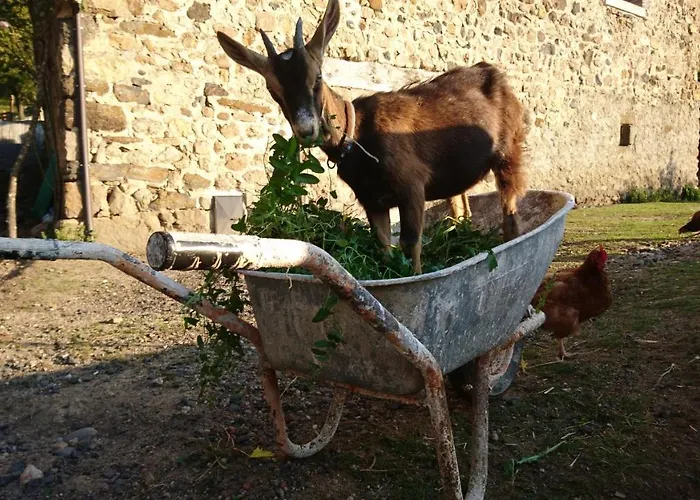 Chateau De Durianne 3* Le Monteil (Haute-Loire)
